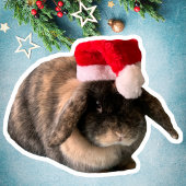 Holland Lop Bunny Daisy Custom Kerst sticker