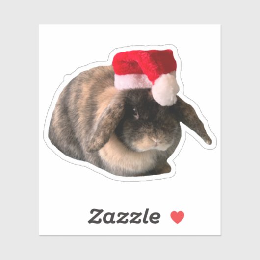 Holland Lop Bunny Daisy Custom Kerst sticker (Vel)