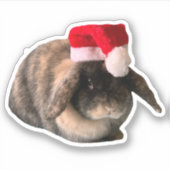 Holland Lop Bunny Daisy Custom Kerst sticker (Voorkant)