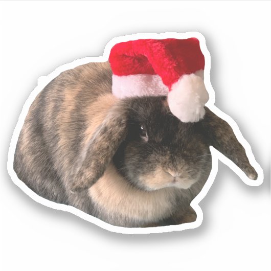 Holland Lop Bunny Daisy Custom Kerst sticker (Voorkant)