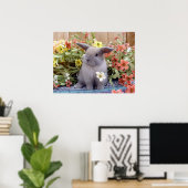 Holland Lop bunny op een Poster (Thuiskantoor)