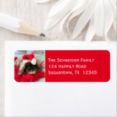 Holland Lop Bunny Rabbit kerstlabel Etiket (Insitu)