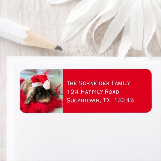 Holland Lop Bunny Rabbit kerstlabel Etiket (Insitu)