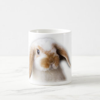 Holland Lop Coffee Mok