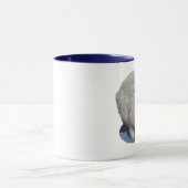 Holland Lop Ear Rabbit Mok (Midden)