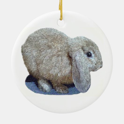 Holland Lop Ear Rabbit Ornament (Achterkant)