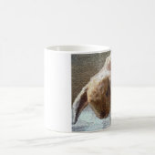 Holland Lop Eared Rabbit Mok (Center)