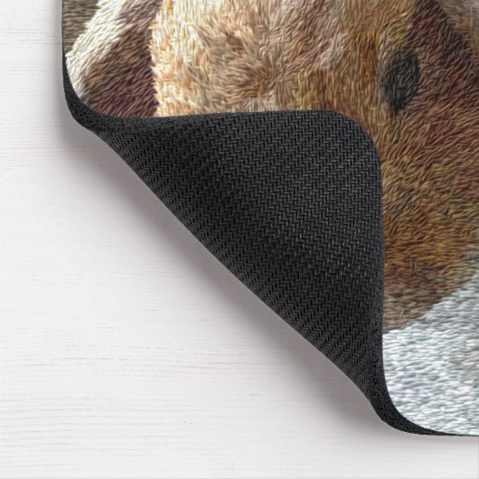 Holland Lop Eared Rabbit Muismat (Hoek)