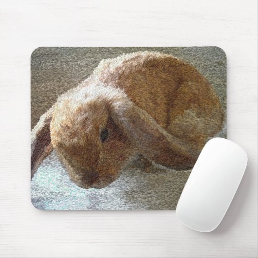 Holland Lop Eared Rabbit Muismat (Met muis)