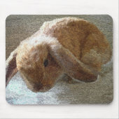 Holland Lop Eared Rabbit Muismat (Voorkant)