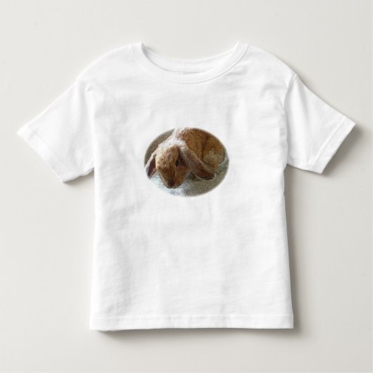 Holland Lop Eared Rabbit Shirten Kinder Shirts (Voorkant)
