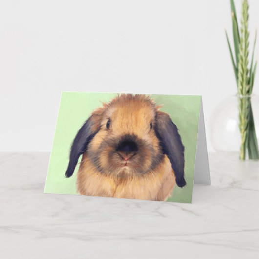 Holland Lop Feestdagen Kaart (Voorkant)