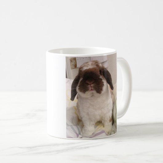 Holland Lop Mok (Voorkant rechts)