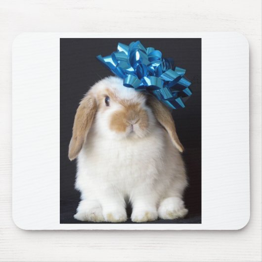 Holland Lop Mousepad Muismat (Voorkant)