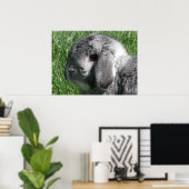 Holland Lop Poster (Thuiskantoor)