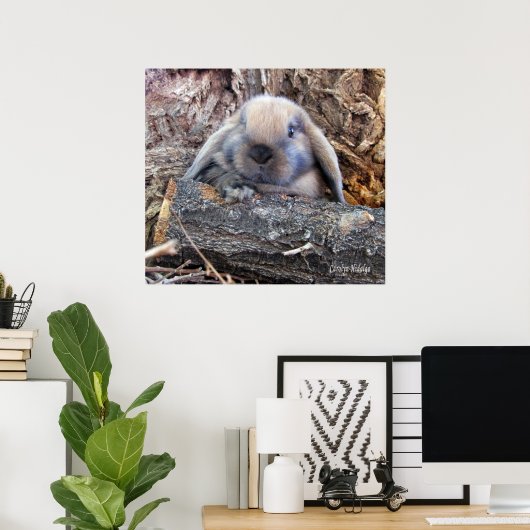 Holland Lop Poster (Thuiskantoor)