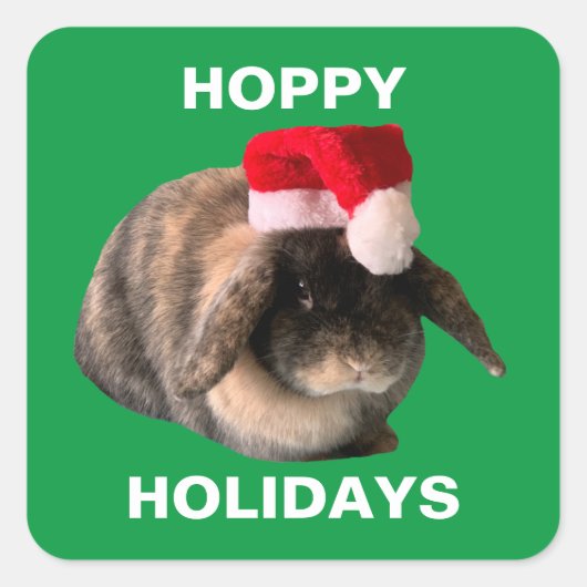 Holland Lop Rabbit Kerst sticker (Voorkant)