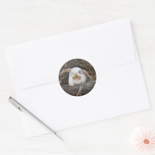 Holland Lop Sticker (Envelop)