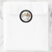 Holland Lop Stickers (Tas)