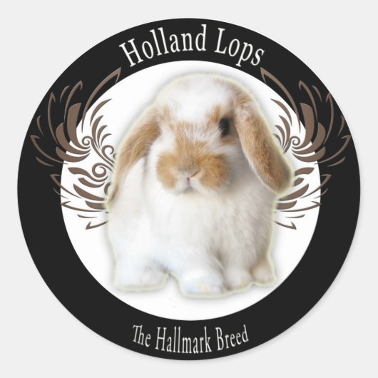 Holland Lop Stickers (Voorkant)