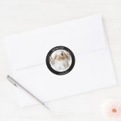 Holland Lop Stickers (Envelop)