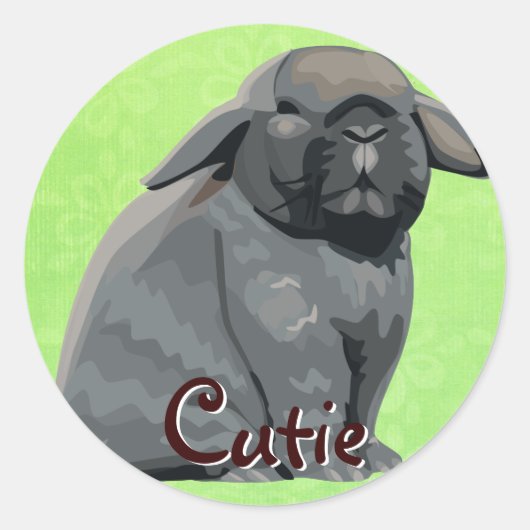 Holland Lop Stickers (Voorkant)