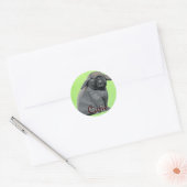 Holland Lop Stickers (Envelop)