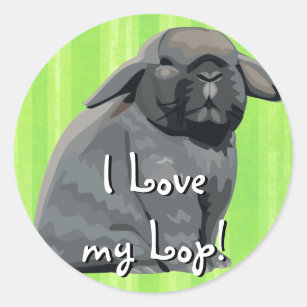 Holland Lop Stickers