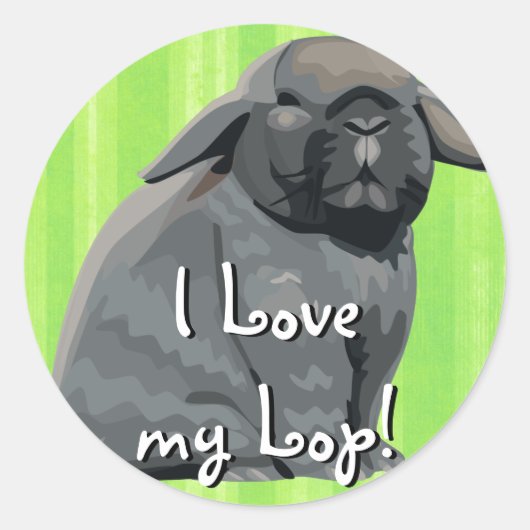 Holland Lop Stickers (Voorkant)
