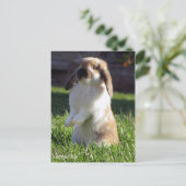 holland neergeslagen briefkaart (Staand voorkant)