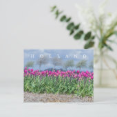 Holland roze tulpen uitzicht briefkaart (Staand voorkant)
