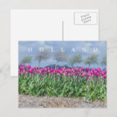 Holland roze tulpen uitzicht briefkaart (Voorkant / Achterkant)