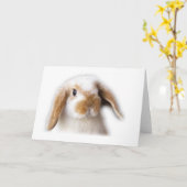 Holland snoeit Wenskaart Kaart (Gele Bloem)