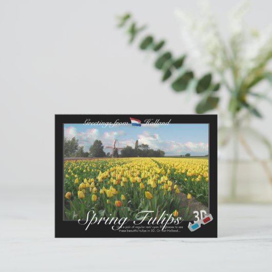 Holland Spring Tulips Landscape 3D Anaglyph Briefkaart (Staand voorkant)