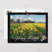 Holland Spring Tulips Landscape 3D Anaglyph Briefkaart (Voorkant / Achterkant)