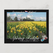 Holland Spring Tulips Landscape 3D Anaglyph Briefkaart (Voorkant)