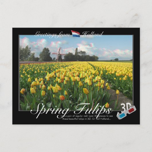 Holland Spring Tulips Landscape 3D Anaglyph Briefkaart (Voorkant)