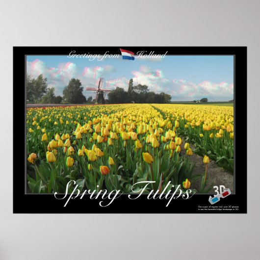 Holland Spring Tulips Landscape 3D Anaglyph Poster (Voorkant)