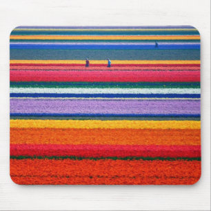 Holland, Tulip-velden Muismat