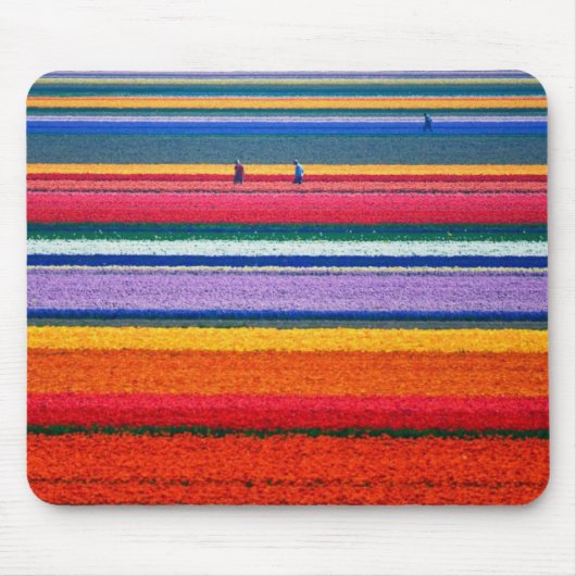 Holland, Tulip-velden Muismat (Voorkant)