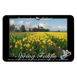 Holland Tulips Landscape 3D Uitzicht Anaglyph Magneet