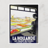 Holland tulp Briefkaart met vintage (Voorkant)