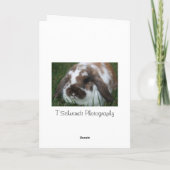 Holland van Pasen snoeit Kaart (Achterkant)