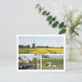 Holland Windmill Tulips Amsterdam Nederlands lands Briefkaart (Staand voorkant)