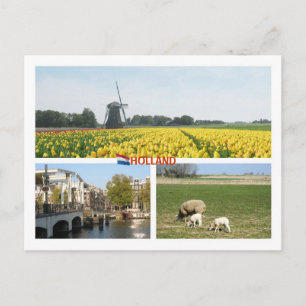 Holland Windmill Tulips Amsterdam Nederlands lands Briefkaart
