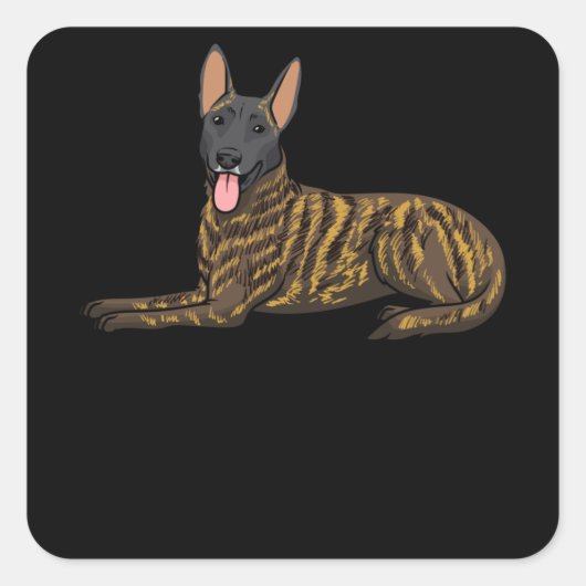 Hollandse Herdershond Nederlandse Herder Hond Vierkante Sticker (Voorkant)