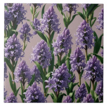 Hollandse Hyacint paarse bloemen