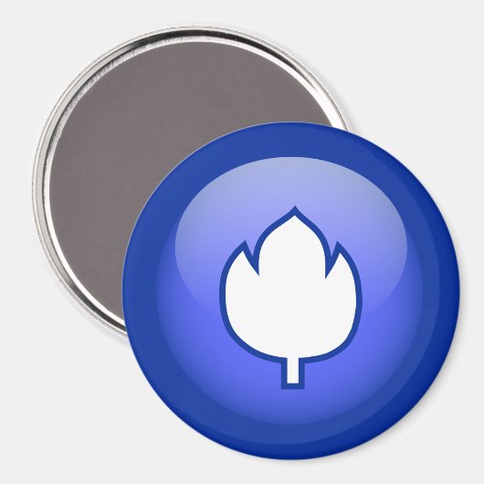 Hollandse tulp magneet (Voorkant / Achterkant)