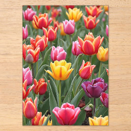 Hollandse tulpen acryl uitnodigingen