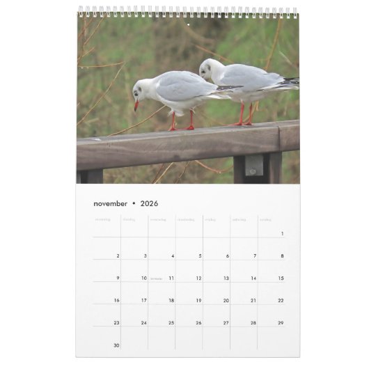 Hollandse vogels Kalender aan te passen (Nov 2026)